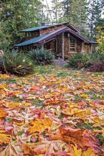 Small Homes Are Just the Right Size
